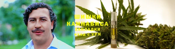 spice Беломорск