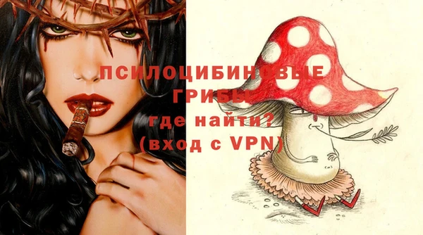герыч Богородск