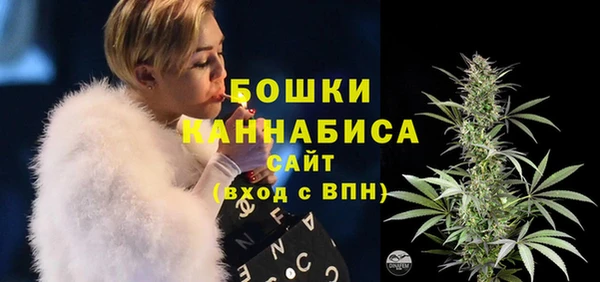 тгк Белокуриха